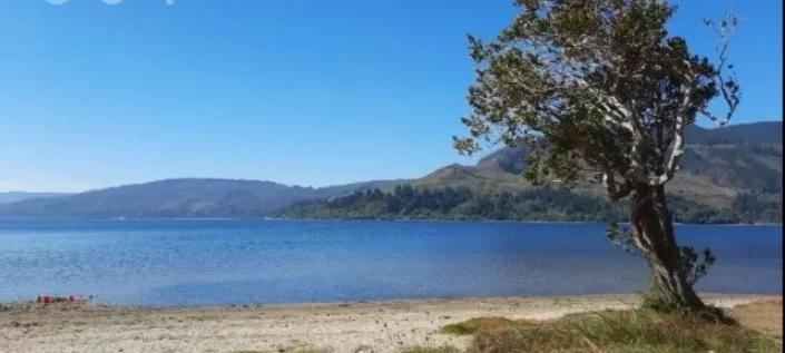 Lago Lanalhue arriendo cabaña